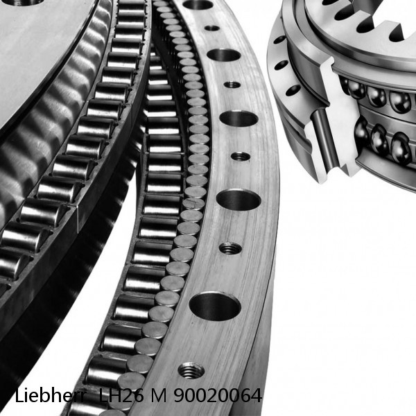 90020064 Liebherr  LH26 M Slewing Ring