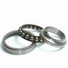 1.772 Inch | 45 Millimeter x 4.724 Inch | 120 Millimeter x 1.142 Inch | 29 Millimeter  CONSOLIDATED BEARING NUP-409  Cylindrical Roller Bearings #1 small image