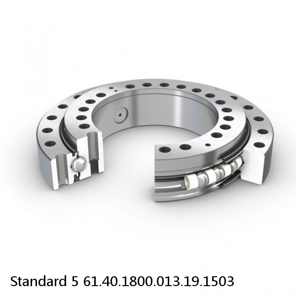 61.40.1800.013.19.1503 Standard 5 Slewing Ring Bearings #1 small image