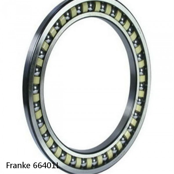 66401L Franke Slewing Ring Bearings #1 small image