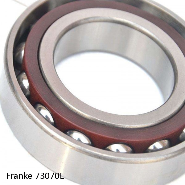 73070L Franke Slewing Ring Bearings #1 small image