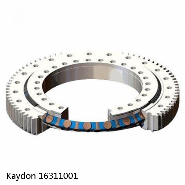 16311001 Kaydon Slewing Ring Bearings #1 image