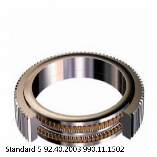 92.40.2003.990.11.1502 Standard 5 Slewing Ring Bearings #1 image