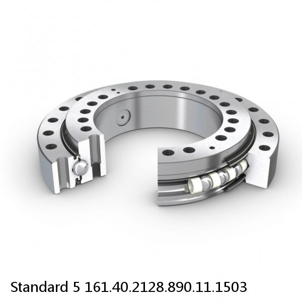 161.40.2128.890.11.1503 Standard 5 Slewing Ring Bearings #1 image