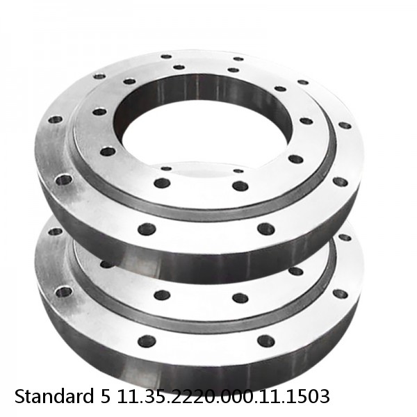 11.35.2220.000.11.1503 Standard 5 Slewing Ring Bearings #1 image