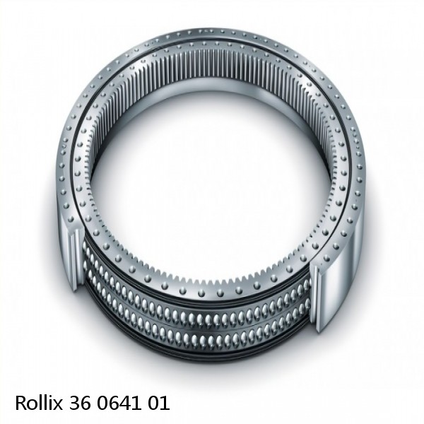36 0641 01 Rollix Slewing Ring Bearings #1 image