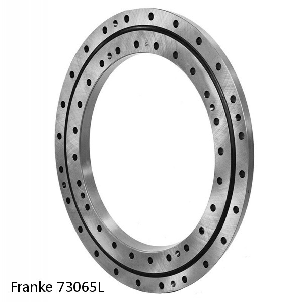 73065L Franke Slewing Ring Bearings #1 image