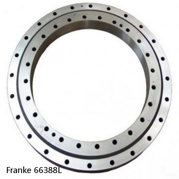66388L Franke Slewing Ring Bearings #1 image
